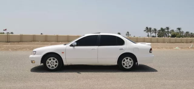 صورة 6
