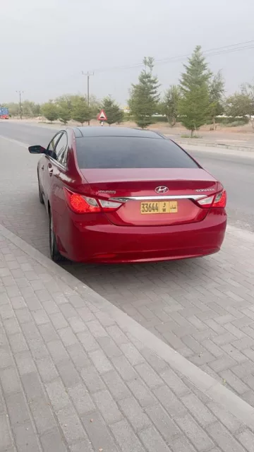 صورة 9