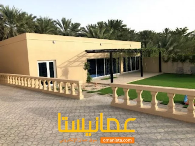 صورة 8
