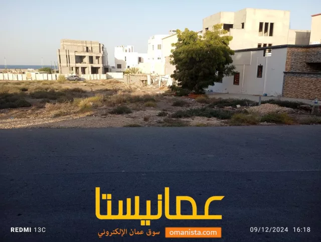 صورة 3