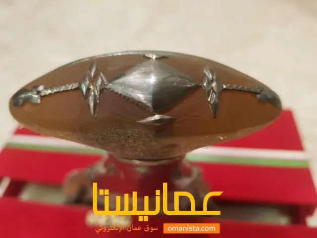 صورة 8