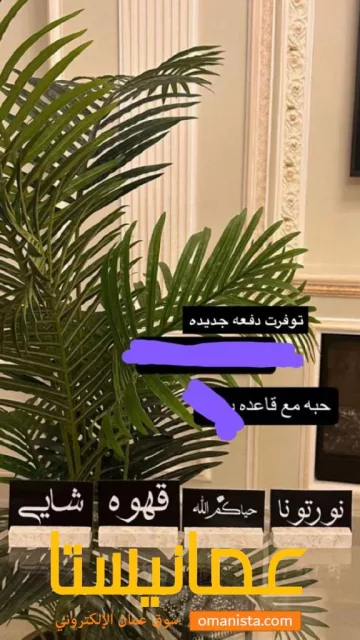 صورة 6