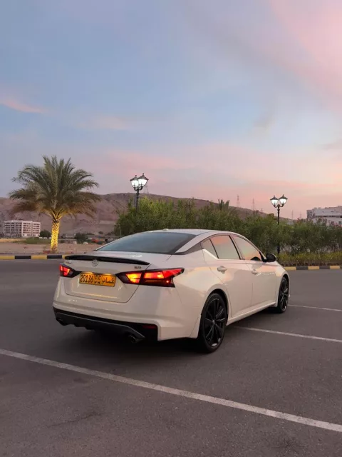 صورة 6