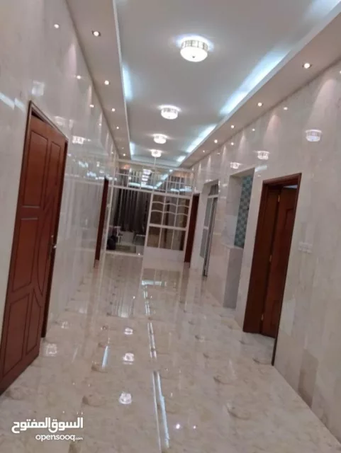 صورة 2