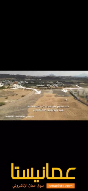 صورة 3