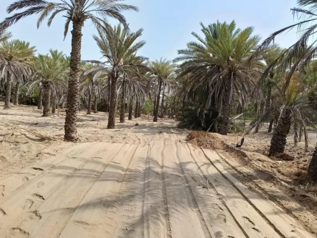 صورة 6