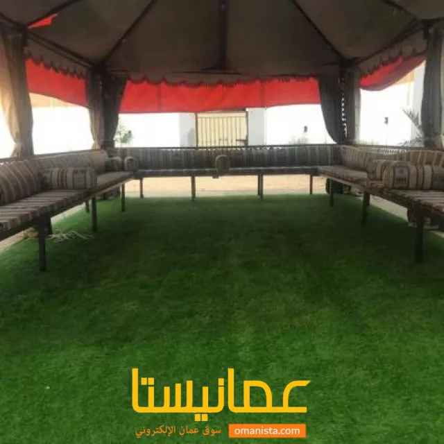 صورة 7