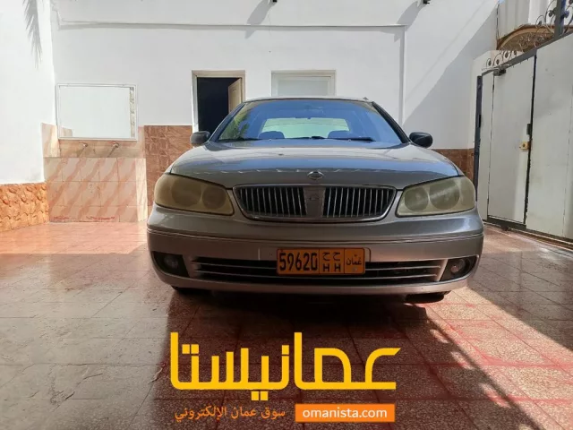 صورة 6
