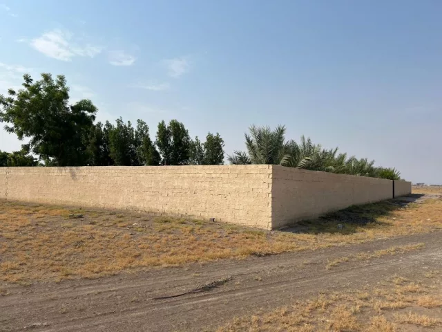 صورة 10