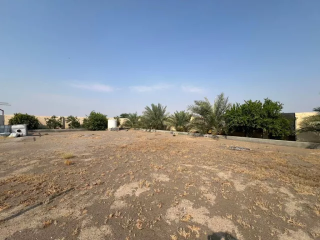صورة 6