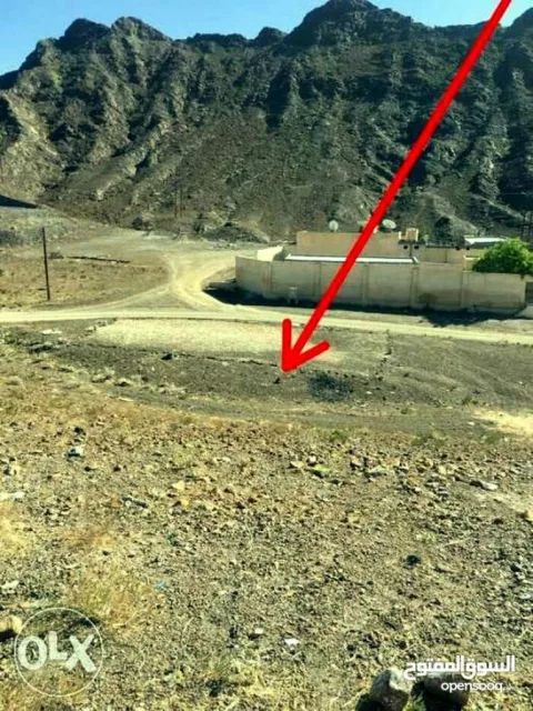 صورة 2