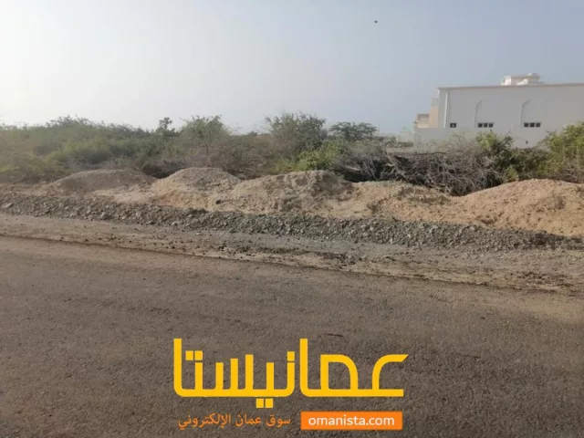 صورة 2