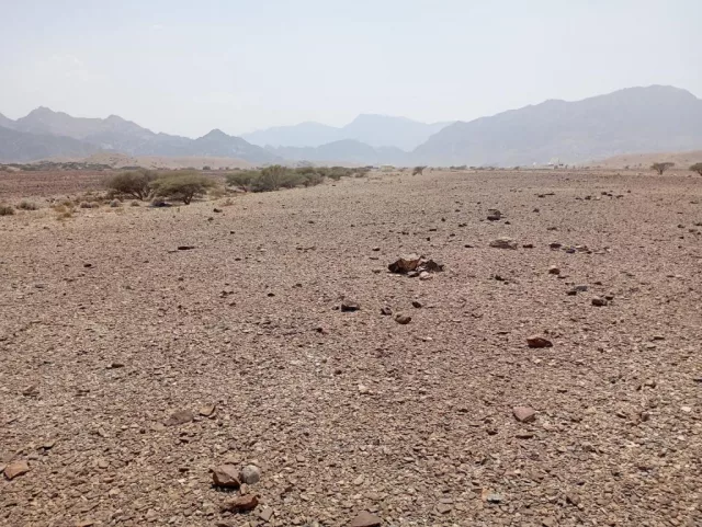 صورة 2