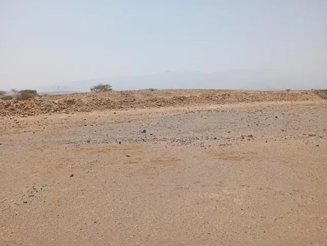 صورة 2