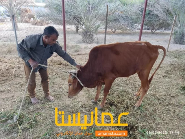 صورة 1