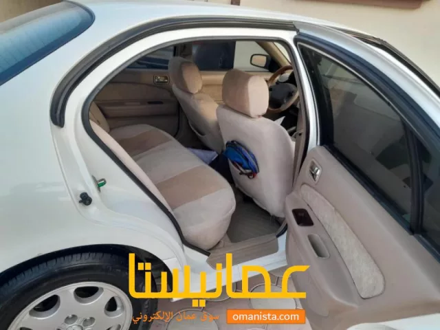صورة 3