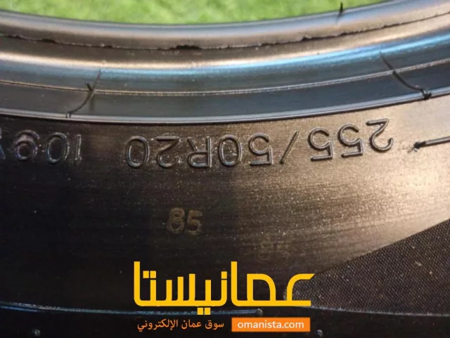 صورة 8