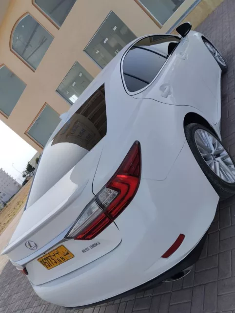 صورة 7