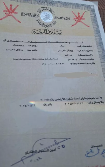 صورة 2