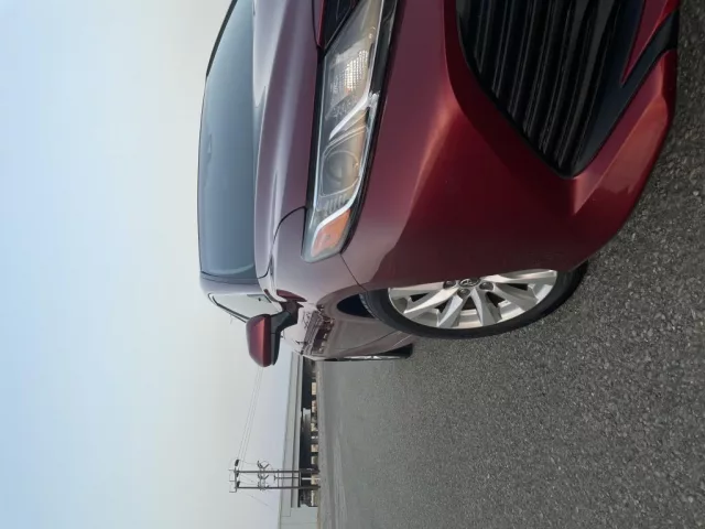 صورة 3