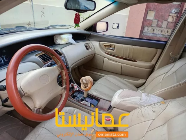 صورة 3