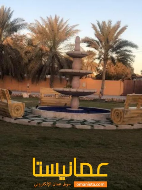 صورة 8
