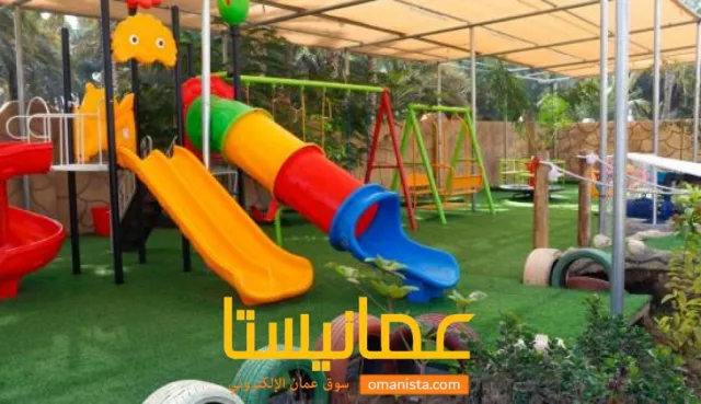 صورة 3