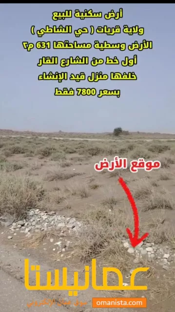 صورة 3