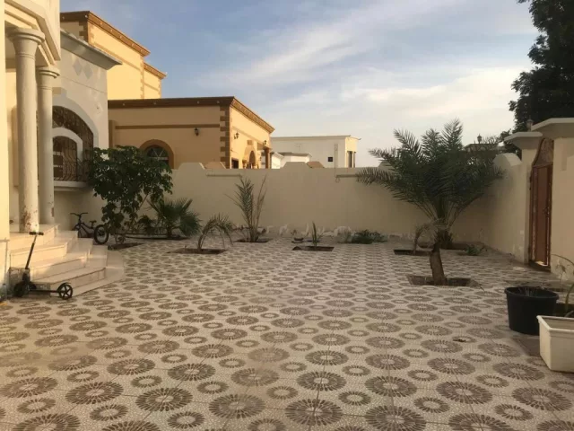 صورة 6