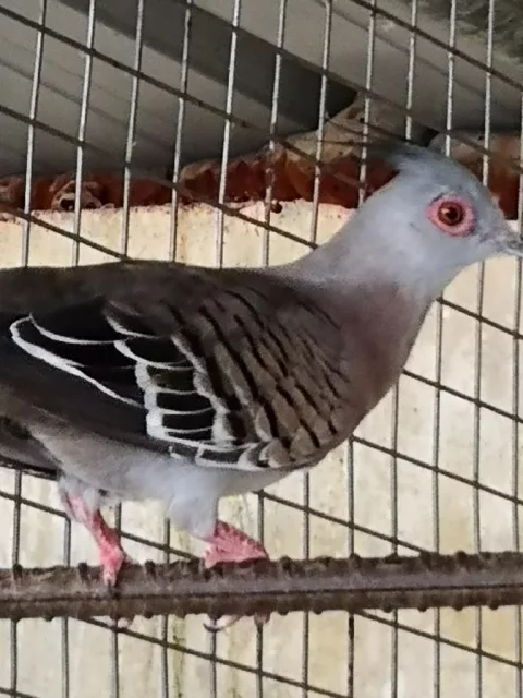 صورة 6