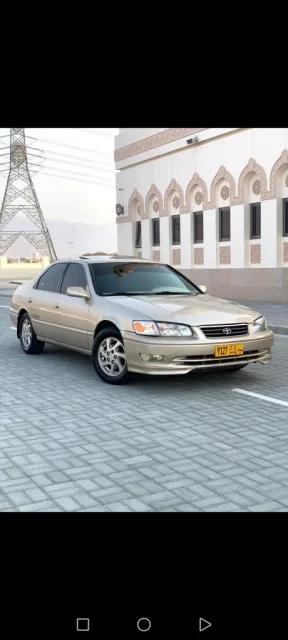 صورة 4