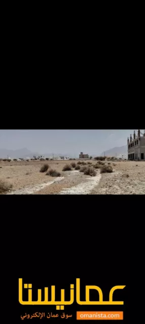 صورة 4