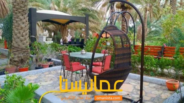 صورة 3