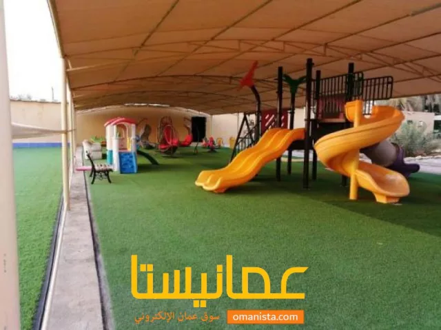 صورة 3