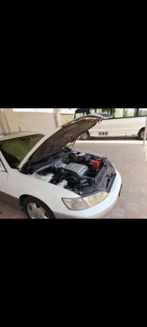 صورة 4