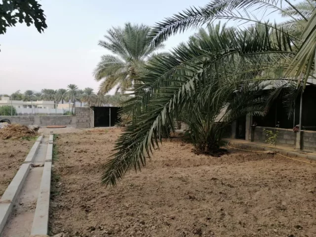 صورة 5