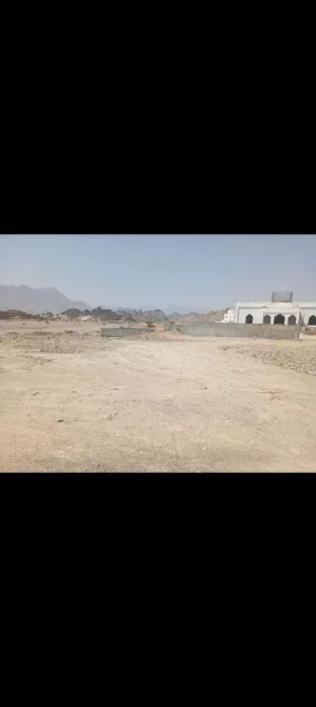 صورة 2