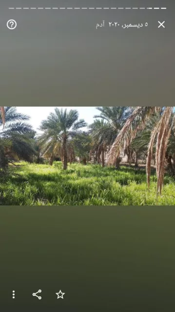 صورة 3
