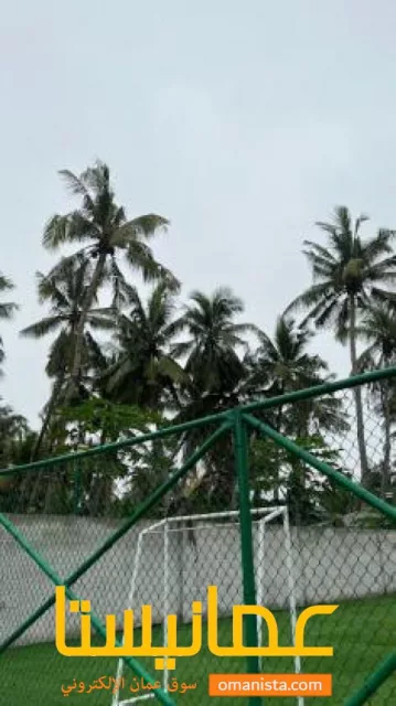 صورة 2