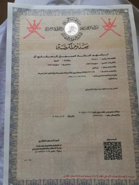 صورة 2