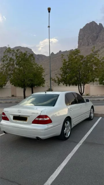 صورة 3