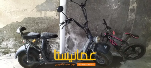 صورة 2