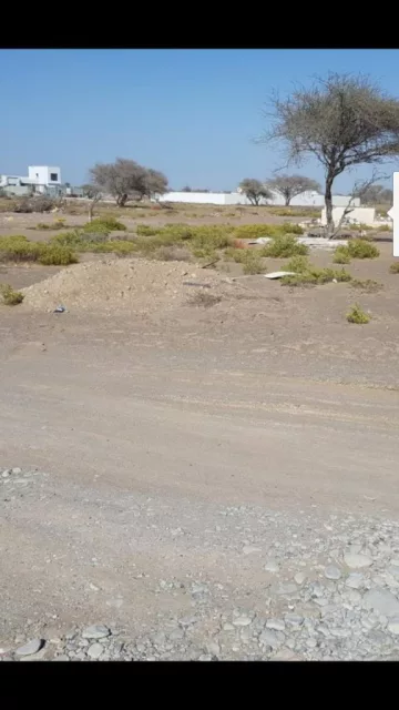 صورة 3