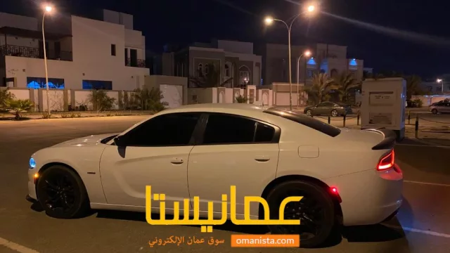 صورة 3