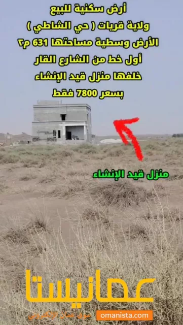 صورة 2