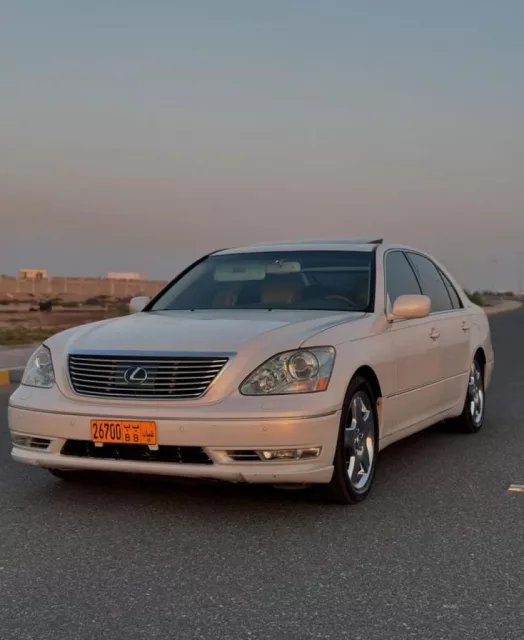 صورة 2