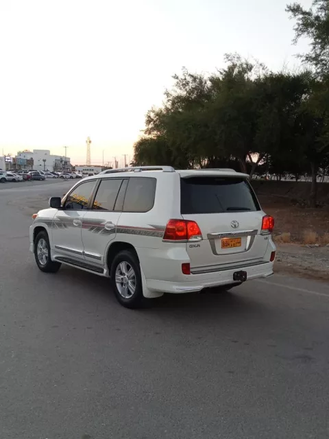 صورة 3