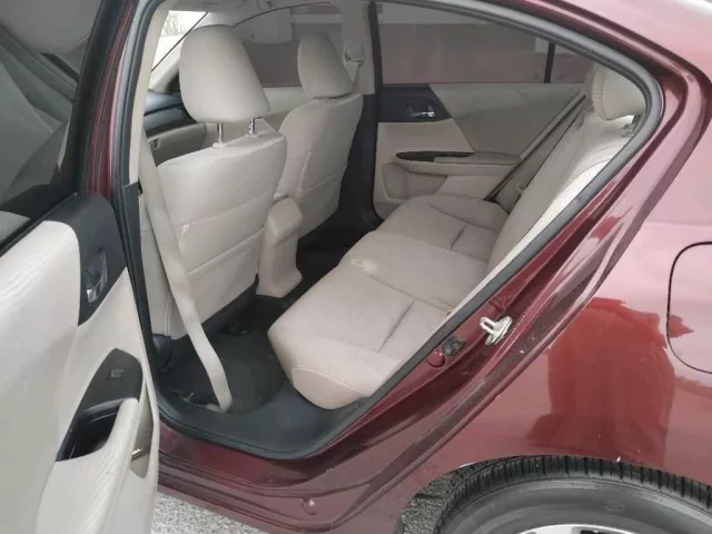 صورة 5