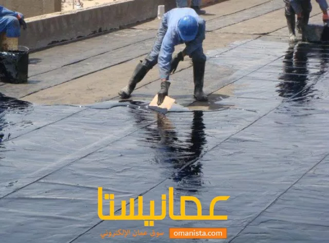 صورة 3