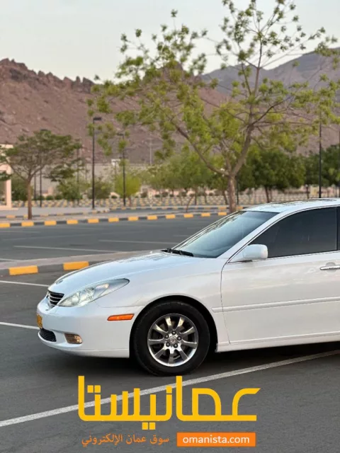 صورة 3